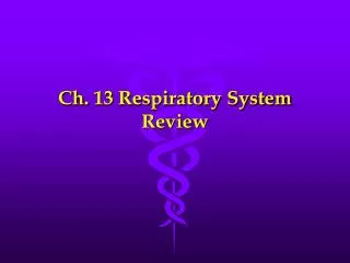 Ch. 13 Respiratory System Review