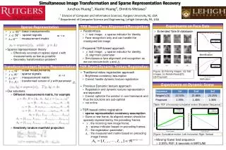 Randomface : test image; : sparse indicator for identity