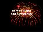 Bonfire Night and Fireworks!