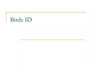 Birds ID