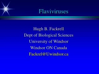 Flaviviruses