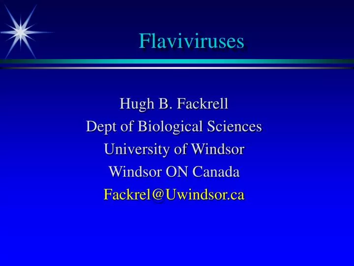 flaviviruses