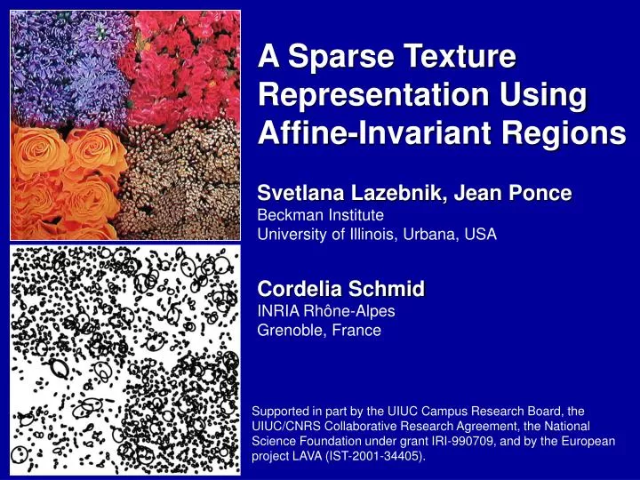 a sparse texture representation using affine invariant regions