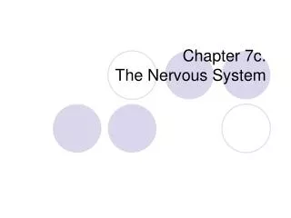 Chapter 7c. The Nervous System