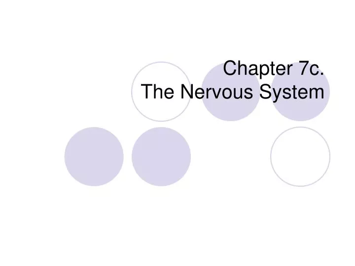 chapter 7c the nervous system