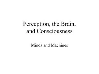 Perception, the Brain, and Consciousness