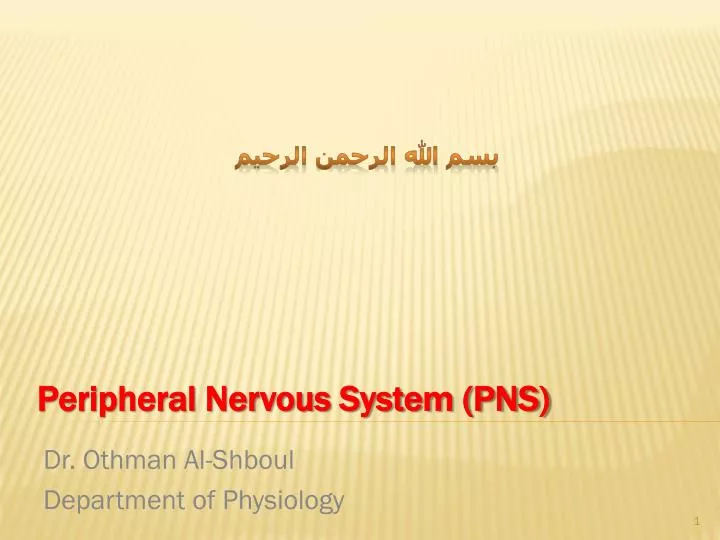 peripheral nervous system pns