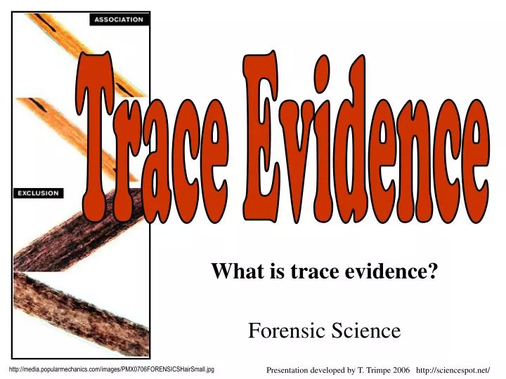 what is trace evidence forensic science
