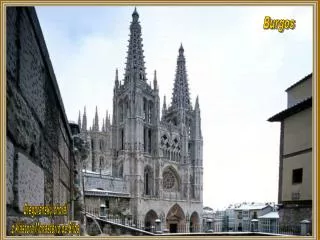 Burgos