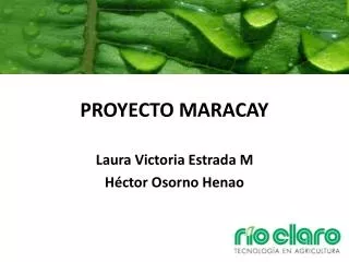 proyecto maracay