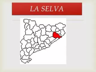 la selva