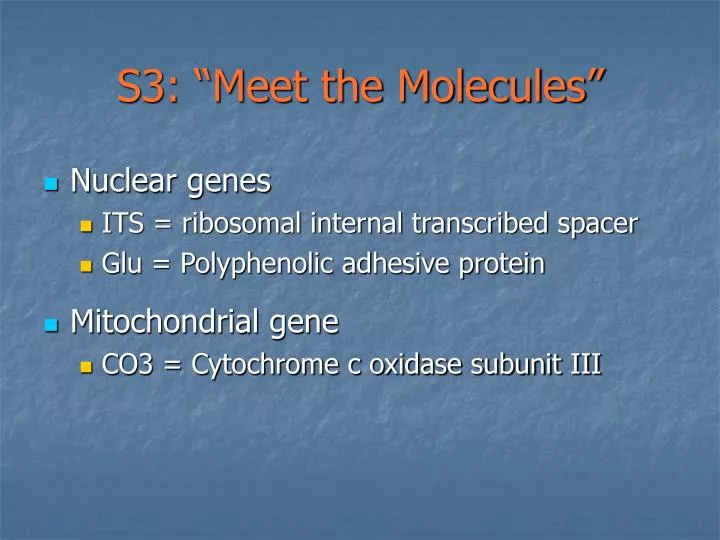s3 meet the molecules