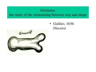 Allometry: the study of the relationship between size and shape
