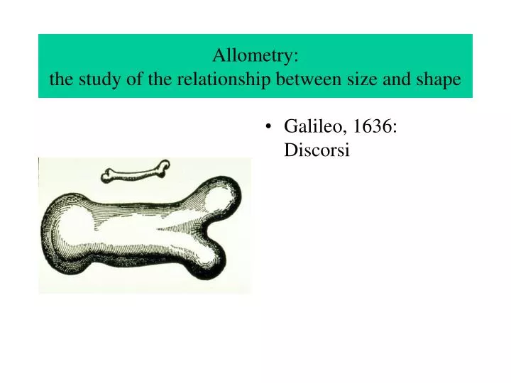 allometry the study of the relationship between size and shape