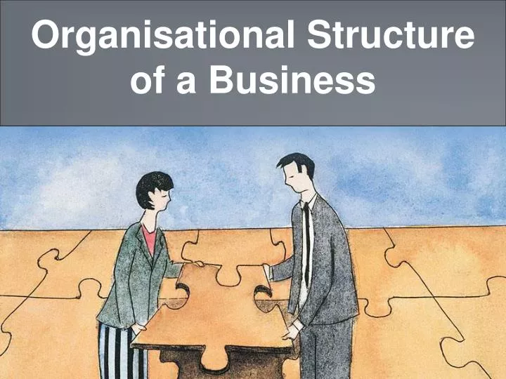 organisational structure of a business