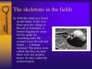 The skeletons in the fields