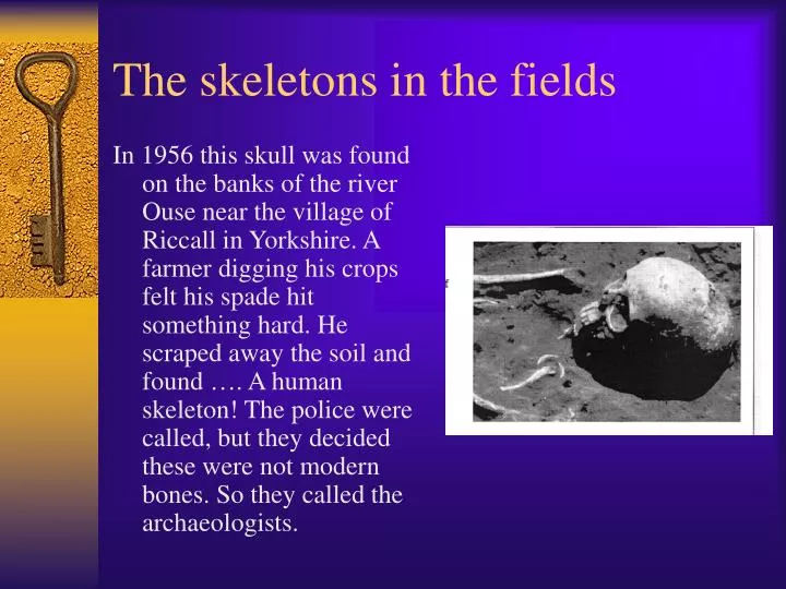 the skeletons in the fields