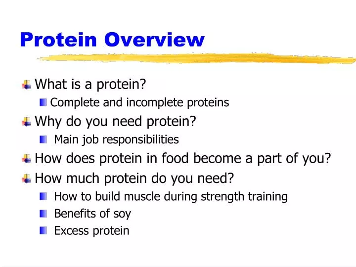 protein overview