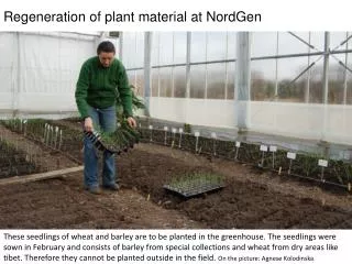Nmnm Regeneration of plant material at NordGen fg