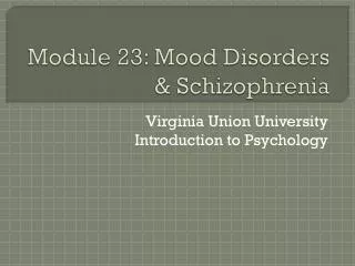 Module 23: Mood Disorders &amp; Schizophrenia