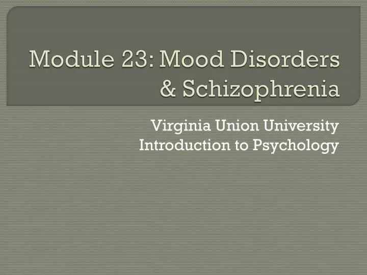 module 23 mood disorders schizophrenia