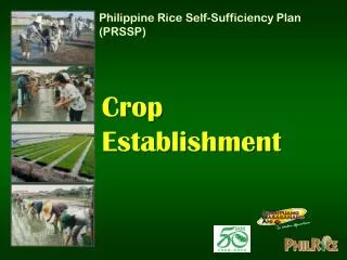 Crop Establishment