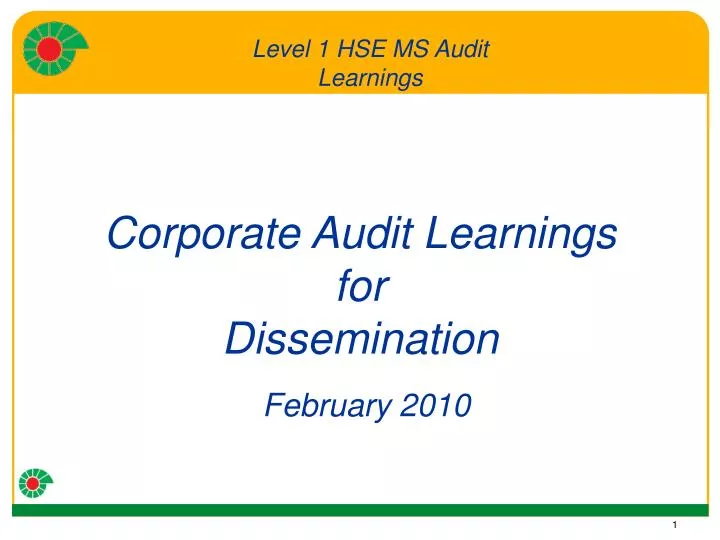 corporate audit learnings for dissemination february 2010