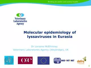 Molecular epidemiology of lyssaviruses in Eurasia