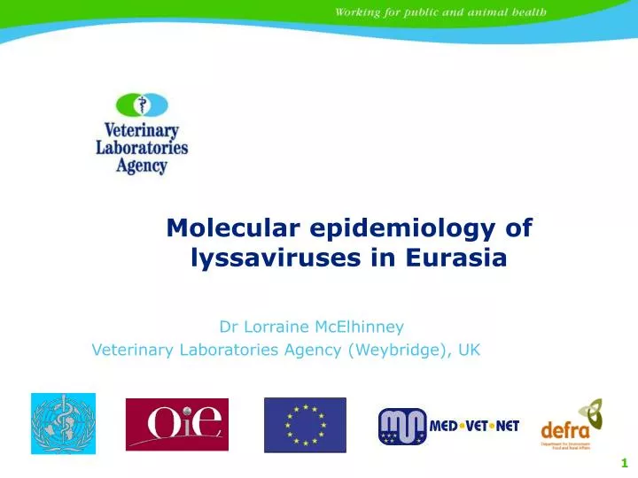molecular epidemiology of lyssaviruses in eurasia
