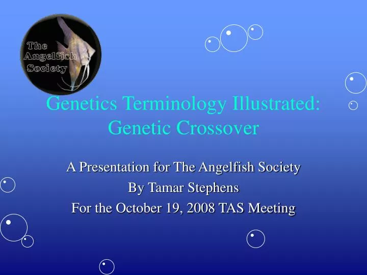 genetics terminology illustrated genetic crossover