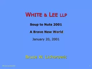 W HITE &amp; L EE LLP Soup to Nuts 2001 A Brave New World January 20, 2001
