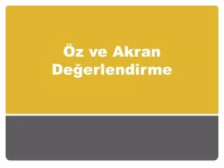 z ve akran de erlendirme