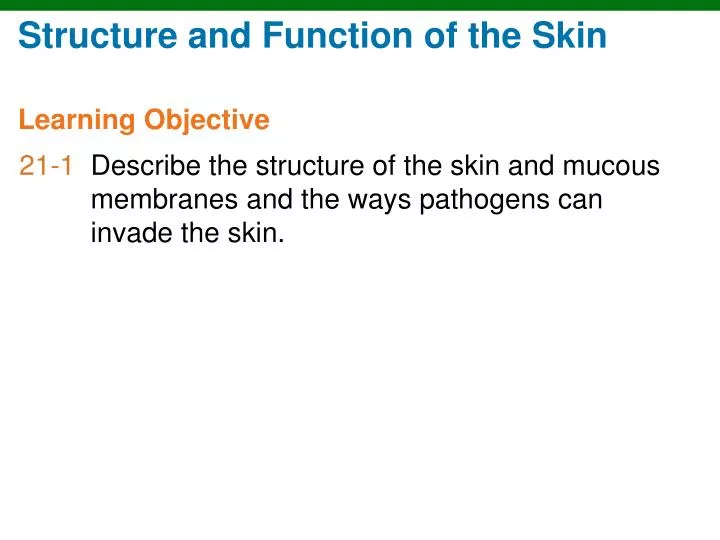 structure and function of the skin