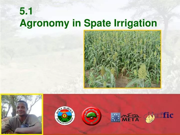 5 1 agronomy in spate irrigation