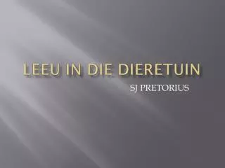 leeu in die dieretuin