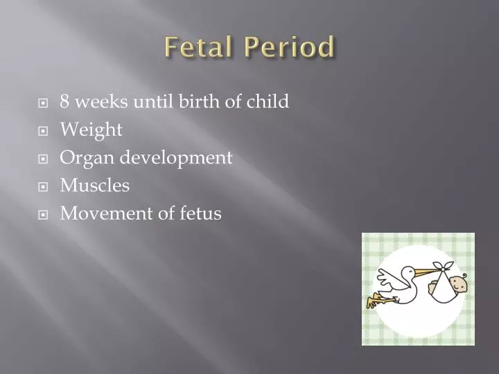 fetal period