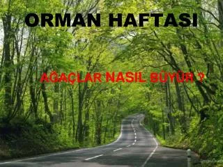orman haftasi