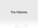 The Vitamins - slide 1