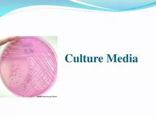 Culture Media