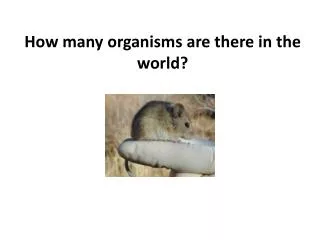 How many organisms are there in the world?