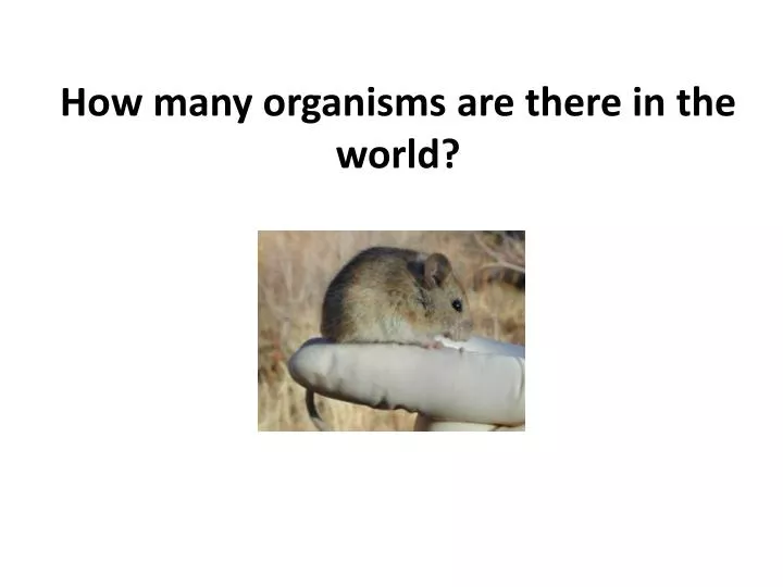 how many organisms are there in the world