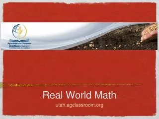 real world math