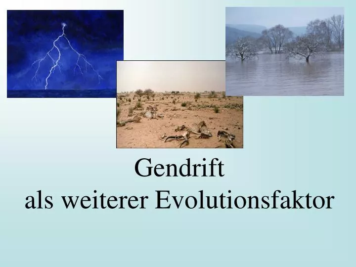 gendrift als weiterer evolutionsfaktor