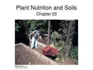 Plant Nutrition and Soils