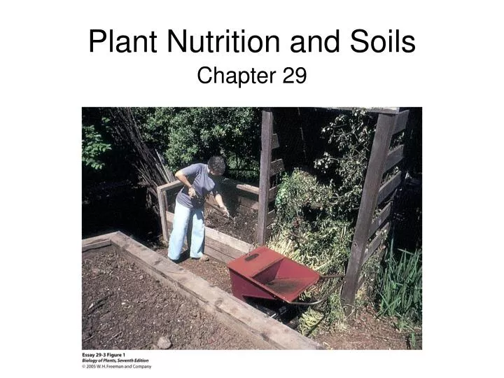 plant nutrition and soils