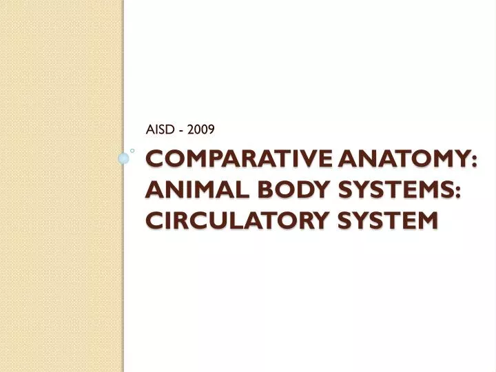 comparative anatomy animal body systems circulatory system