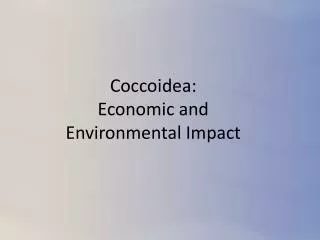 Coccoidea: Economic and Environmental Impact