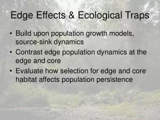 Edge Effects &amp; Ecological Traps