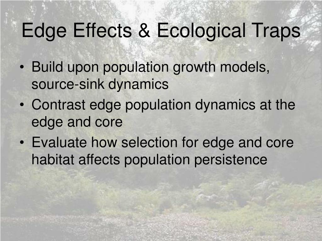 PPT - Edge Effects & Ecological Traps PowerPoint Presentation, free ...