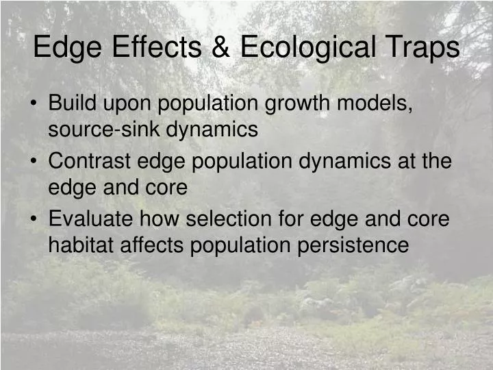 edge effects ecological traps